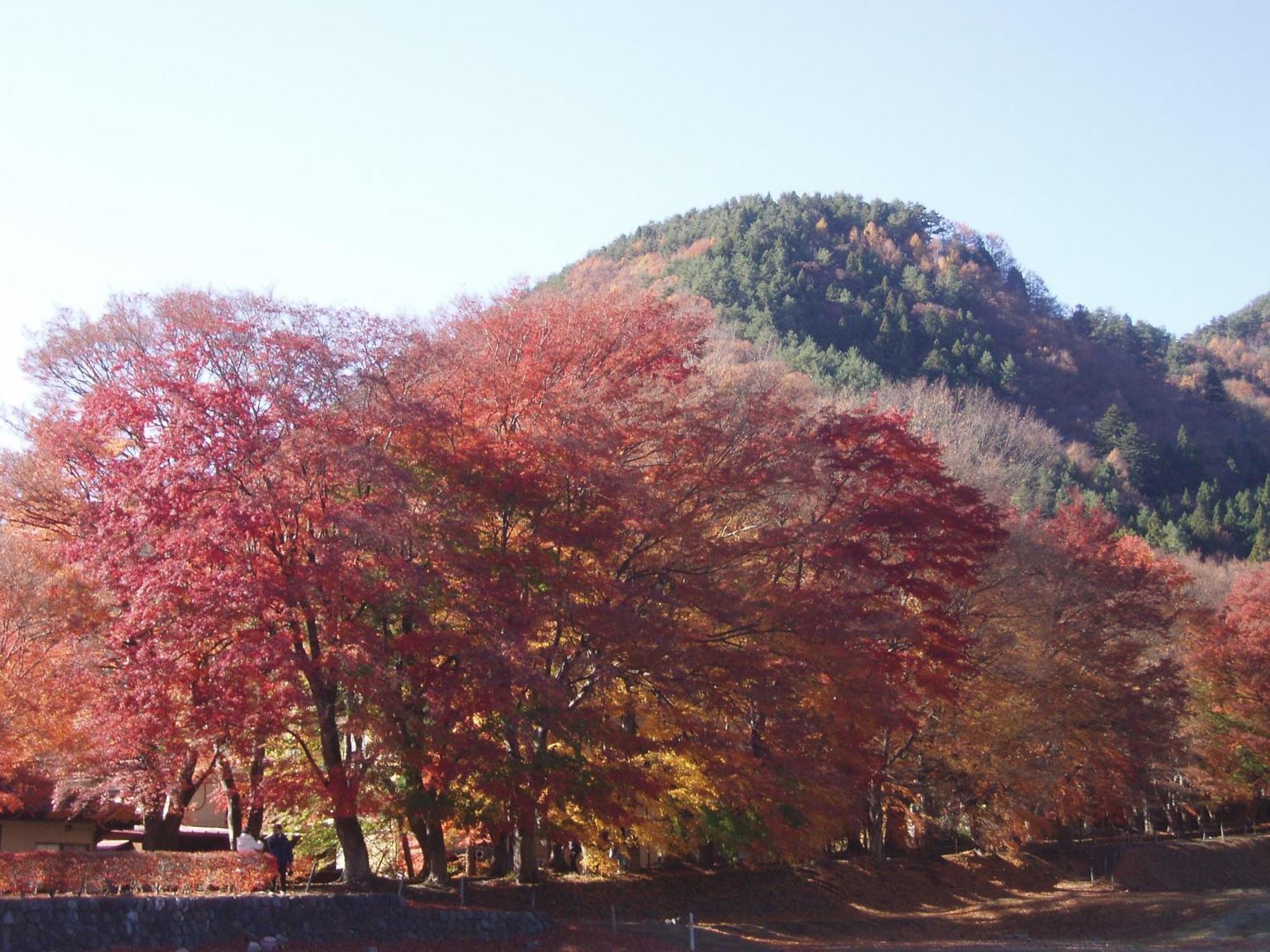 Komaya Ryokan Fujikawaguchiko Extérieur photo