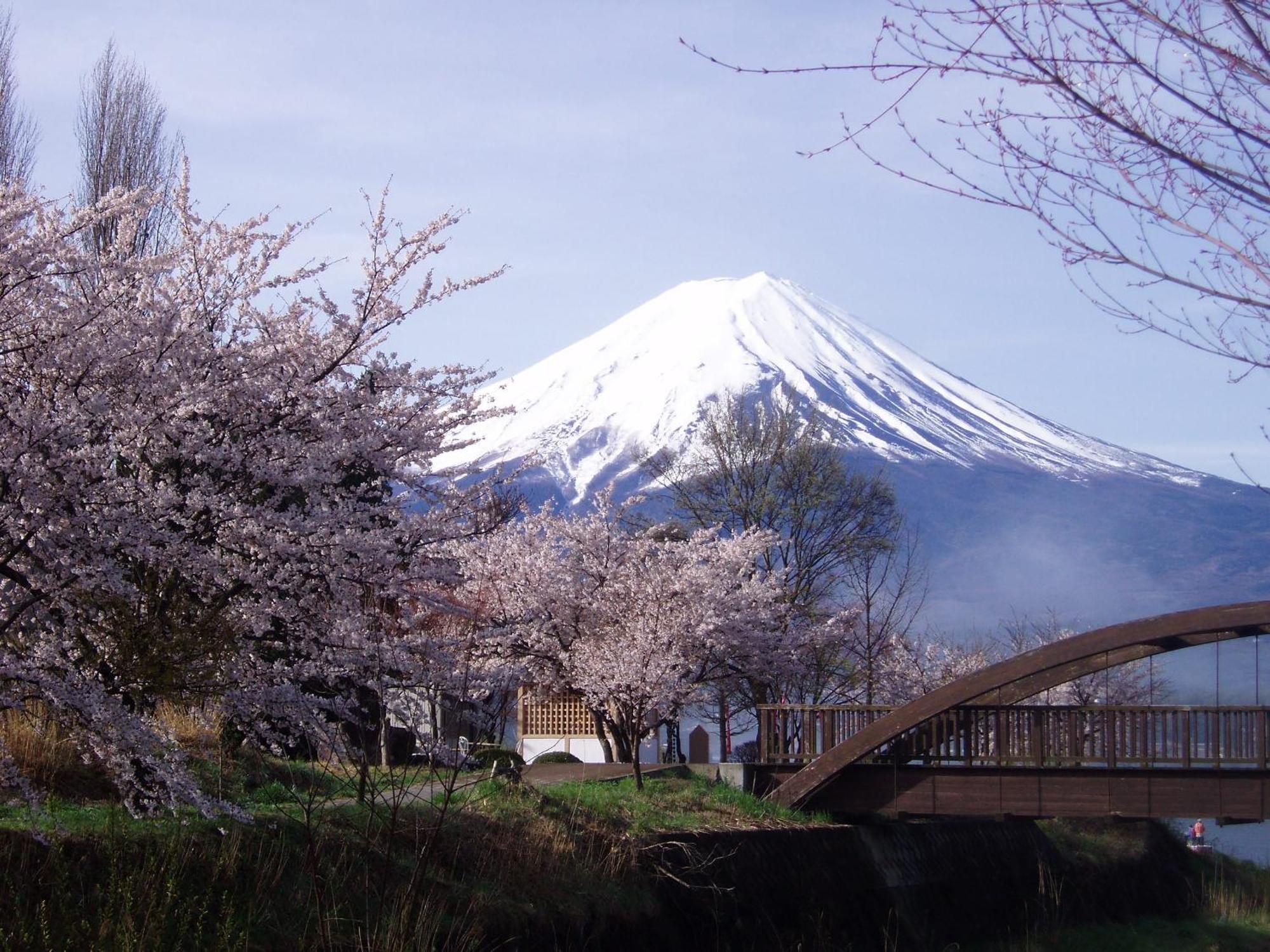 Komaya Ryokan Fujikawaguchiko Extérieur photo